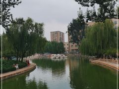 -团结湖公园