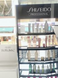 点击看大图 -金棕榈