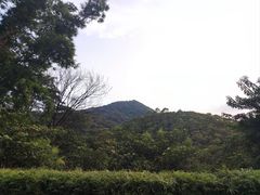 -黄埔油麻山森林公园