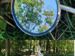 -桤木河湿地公园