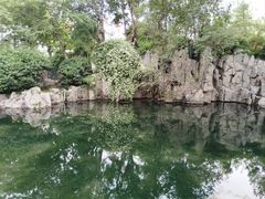 -微山岛春天里酒家