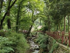 -素山寺森林公园