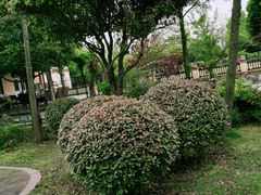 -洪湖家庭农场·团建·露营·会议