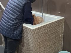 -宠宠熊宠物美容(星湖街店)