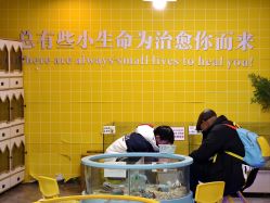 -神奇动物撸宠馆·羊驼·小浣熊·异宠(豫园店)
