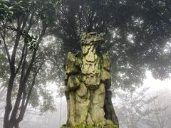 -南山植物园