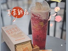 多肉杨梅-喜茶(深圳福田星河COCO Park店)