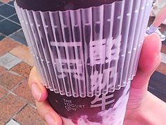 -一只酸奶牛(八一路店)