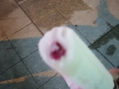 -蒲公英(五里店)