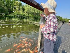 -昆山城市生态森林公园