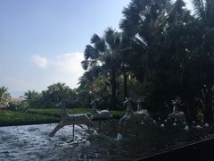 -三亚湾海居铂尔曼度假酒店