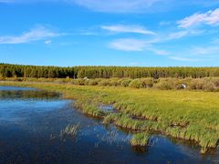 -塞罕坝国家级自然保护区