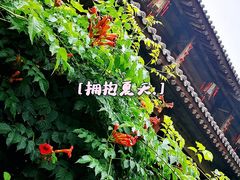 -胡氏古民居建筑