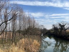 -良渚古城遗址公园