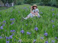 -白鹭湾湿地公园