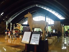 -三亚湾海居铂尔曼度假酒店