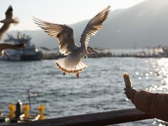 -芸南道·过桥米线(昆明老街旗舰店)