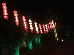 -崇阳三特浪口温泉