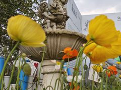 -名花谷生态庄园