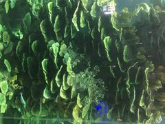 iphone_upload_pic-泉城欧乐堡海洋极地世界