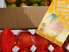 -东方鼎信农副产品交易中心