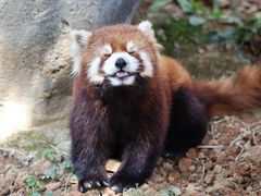 -杭州野生动物世界