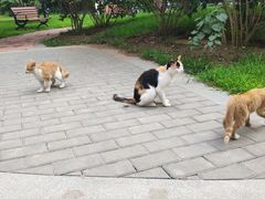 -中央财经大学-食堂