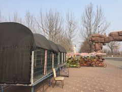 -万源龙顺度假庄园生态观光园