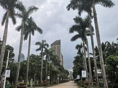 -万绿园