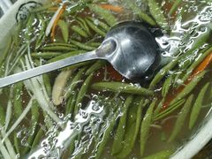 -协和菜馆(凤凰街店)