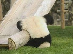 -盒马鲜生(悠方店)