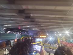 -Big Bus Tours 敞篷观光巴士