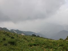 -白草畔自然风景区