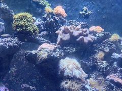 -海合安天津极地海洋公园