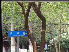 -吴氏蹄花