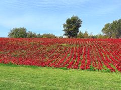 -长春世界雕塑园冰雪艺术天地