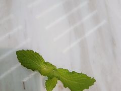 -丹礼糖甜品