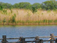 -野鸭湖国家湿地公园