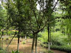 -重庆彩云湖湿地公园