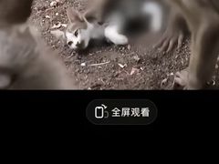 -昆明动物园