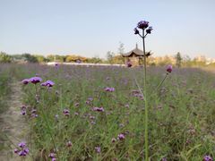 -杭州城北体育公园