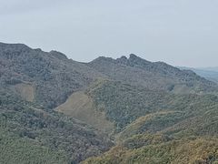 -天女山森林公园
