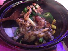 生啫田鸡-啫神·广州地标美食(北京路店)