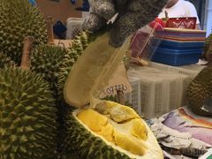 -101 Fresh Fruits Trading