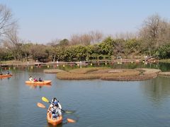 -西溪国家湿地公园