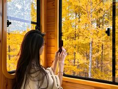 -莫尔道嘎国家森林公园