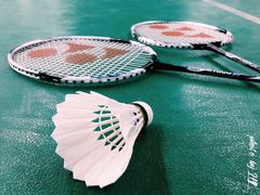 -东坡羽毛球馆(东坡南一路店)