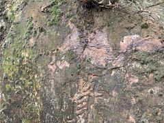 -飞霞风景名胜区