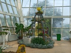 -石家庄市植物园