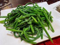 -粤北餐馆